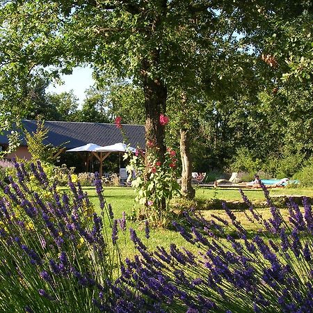 La Villa Des Pins Verrieres  Eksteriør billede