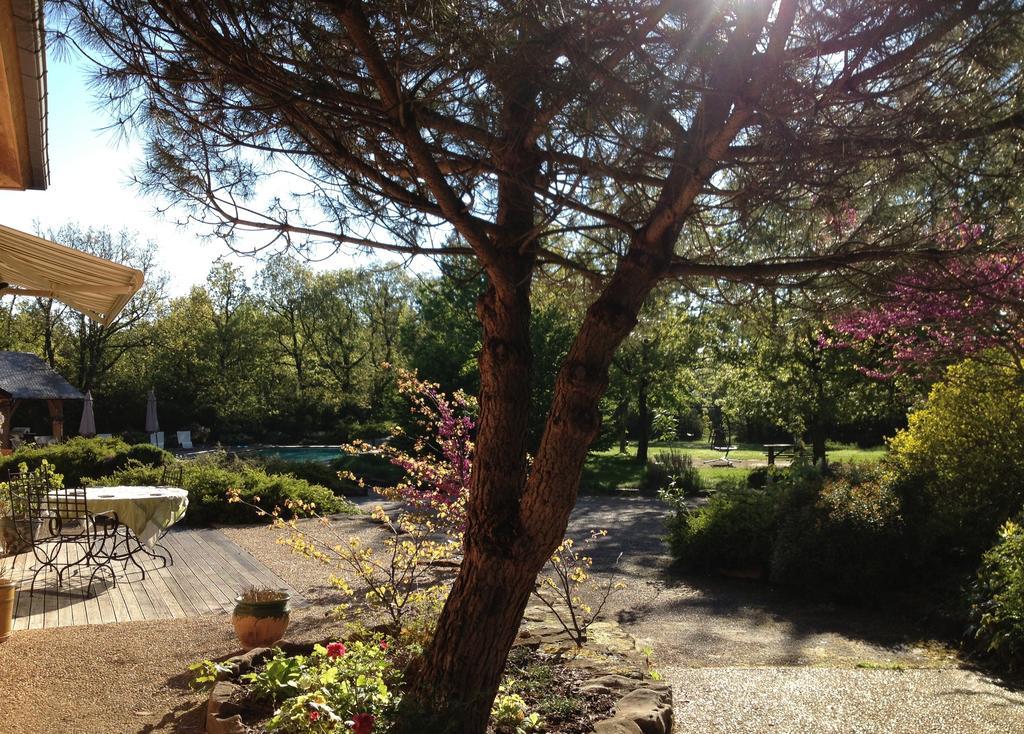 La Villa Des Pins Verrieres  Værelse billede