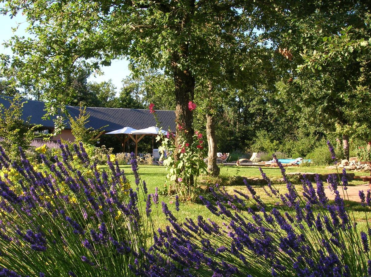 La Villa Des Pins Verrieres  Eksteriør billede
